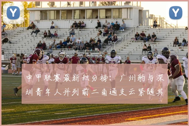 中甲联赛最新积分榜：广州豹与深圳青年人并列前二南通支云紧随其后